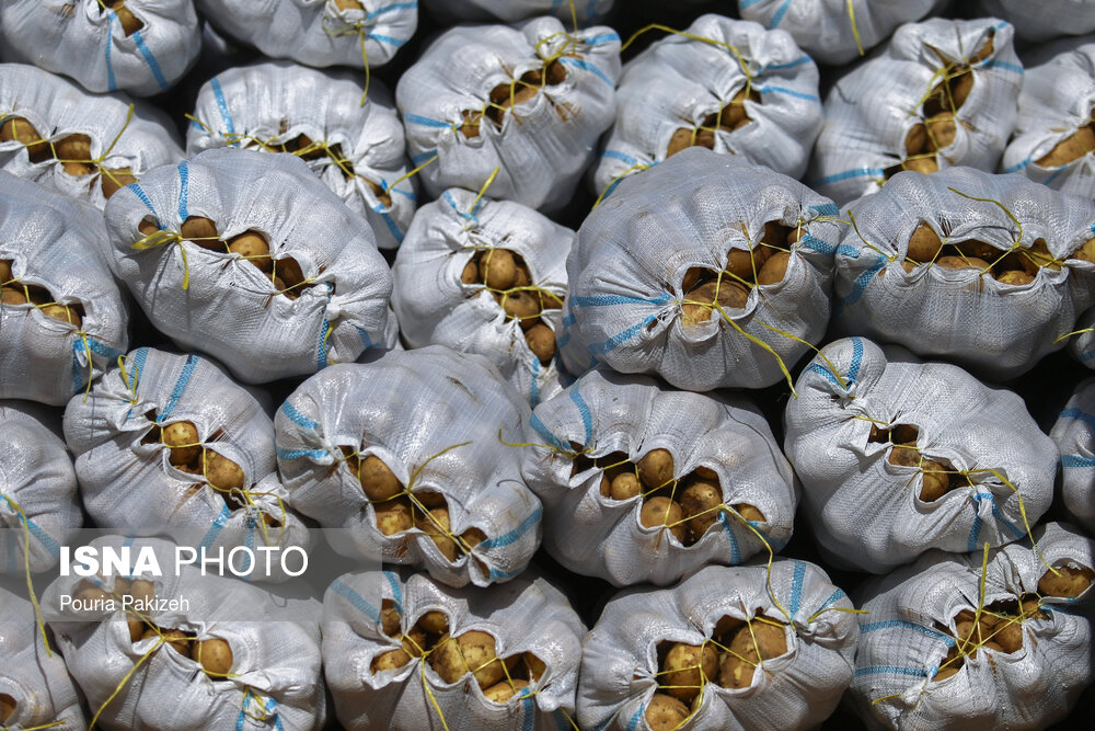 The discovery of 155 kilograms of opium from a load of potatoes in Tarbar Square