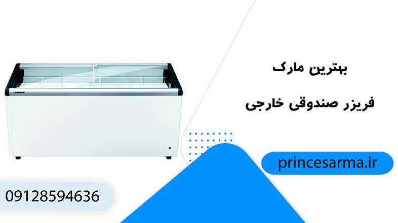 The best brand of home freezer, Nie Electrosteel Freezer Box