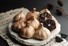 Black Garlic Fermentation Machine Build a black garlic production machine