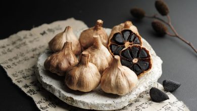 Black Garlic Fermentation Machine Build a black garlic production machine
